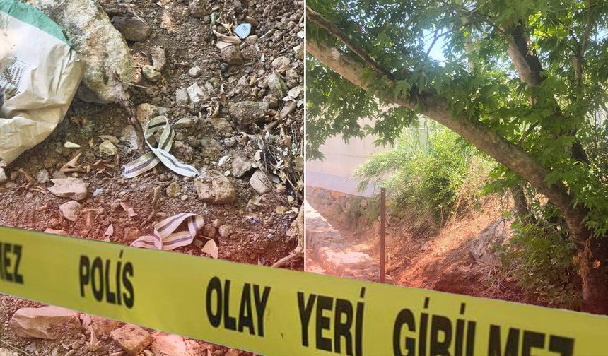 Antalya'da ağaçta asılı bulunan kişi son anda kurtarıldı!