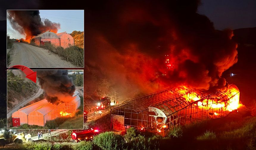 Antalya'da yedek parça deposu olarak kullanılan muz serası kül oldu
