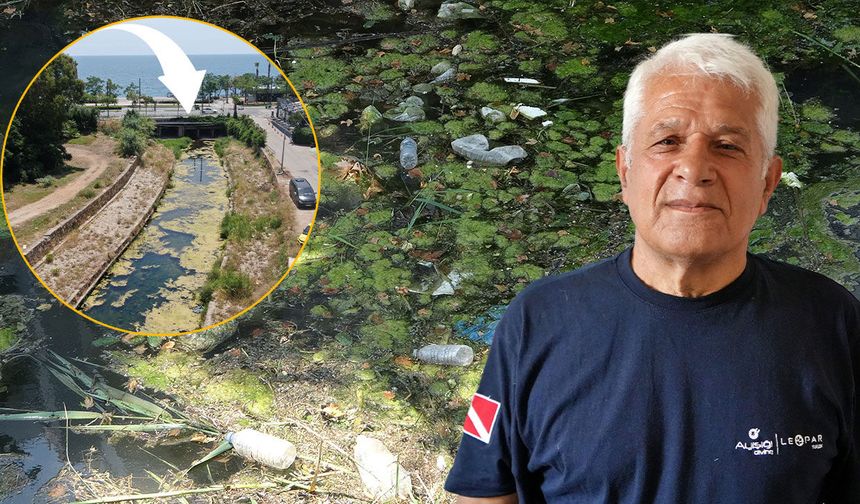 Uzmanı açıkladı: Antalya Körfezi'ndeki renk değişiminin nedeni belli oldu!