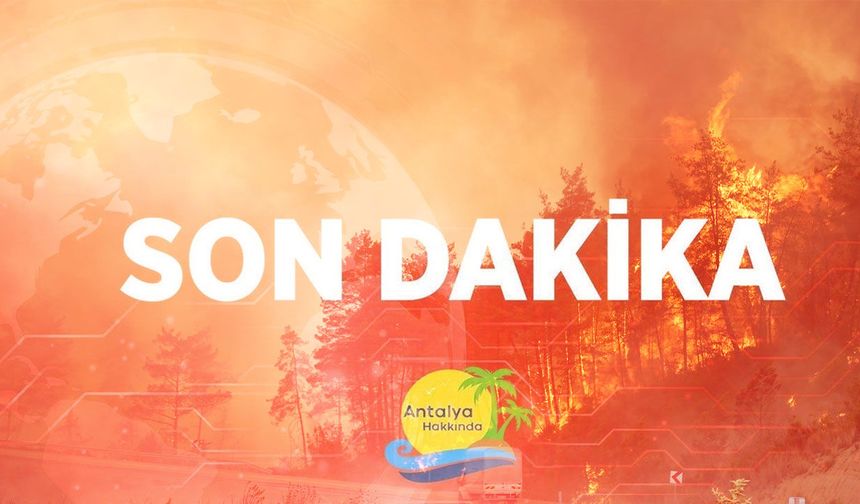 Antalya'da orman yangını: Ekipler havadan ve karadan müdahale ediyor
