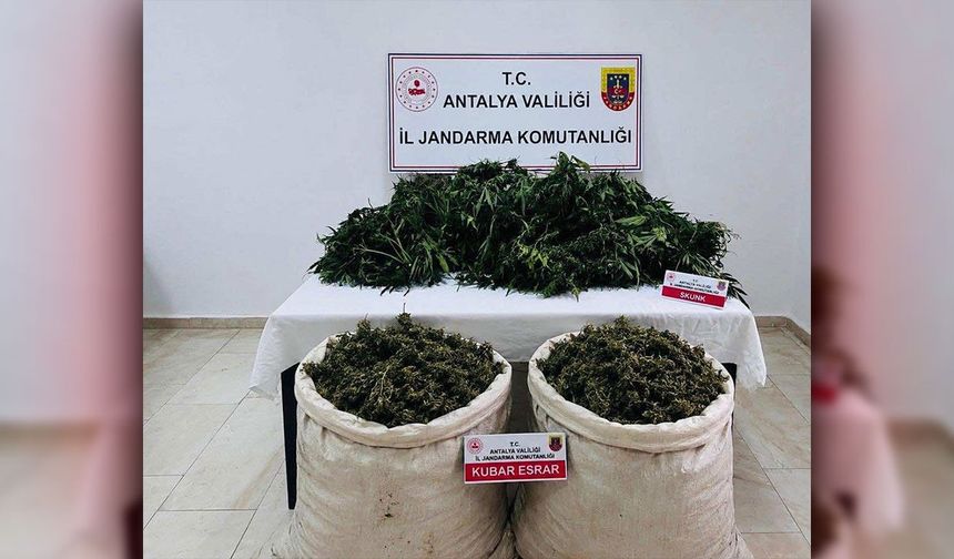 Antalya'da uyuşturucu operasyonu: 1 şüpheli tutuklandı