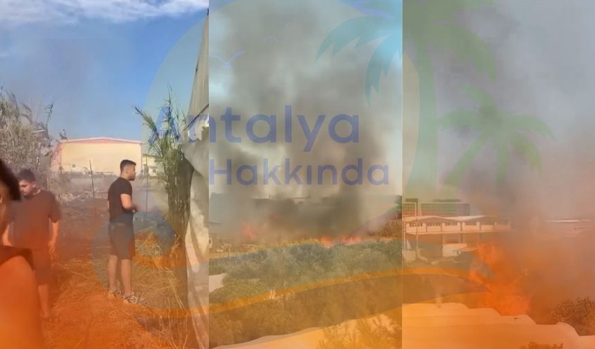 Antalya'da korkutan yangın! Seralar zarar gördü