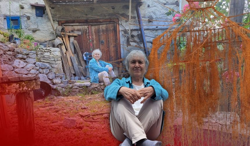 Yazılımcı Nurhayat Varol Antalya'da doğaya döndü: Eserleri bienalde