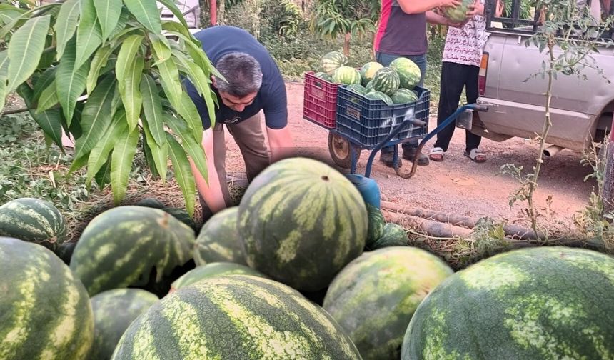 Antalyalı üretici yurt ve kurslara 10 ton karpuz bağışladı