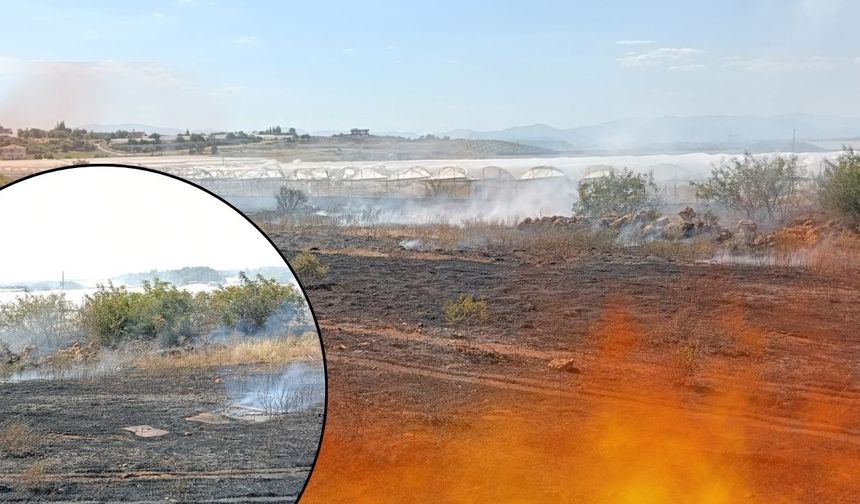 Antalya korkutan otluk alan yangını itfaiye ekiplerince söndürüldü