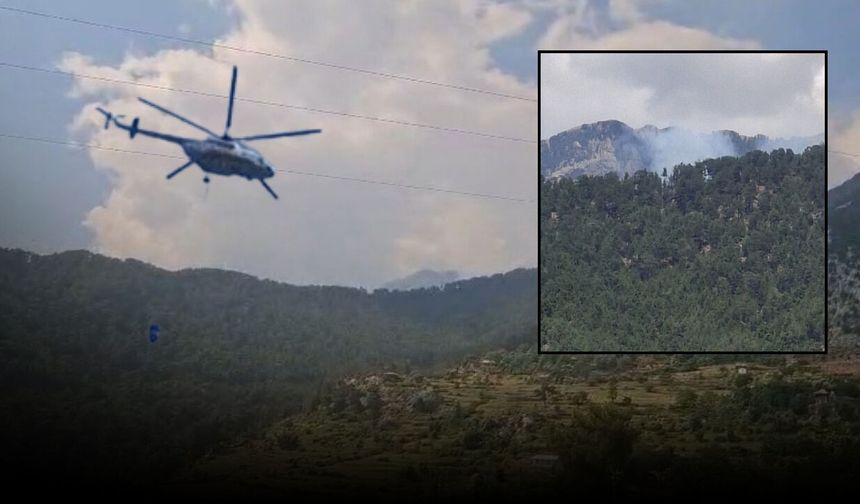 Antalya'da ormana yıldırım düştü! Çıkan yangın söndürüldü