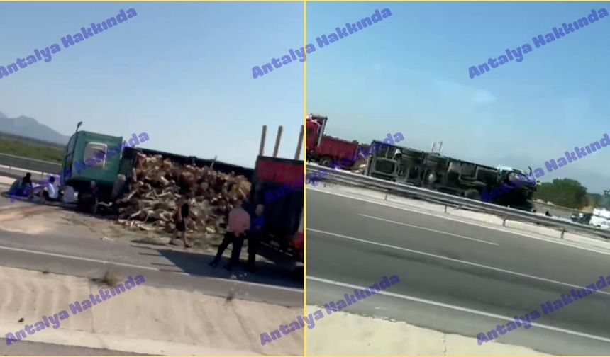 Antalya-Isparta yolunda kamyon devrildi!