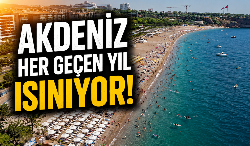 Türkiye'nin denizlerinde uyarı: Akdeniz her geçen yıl ısınıyor!
