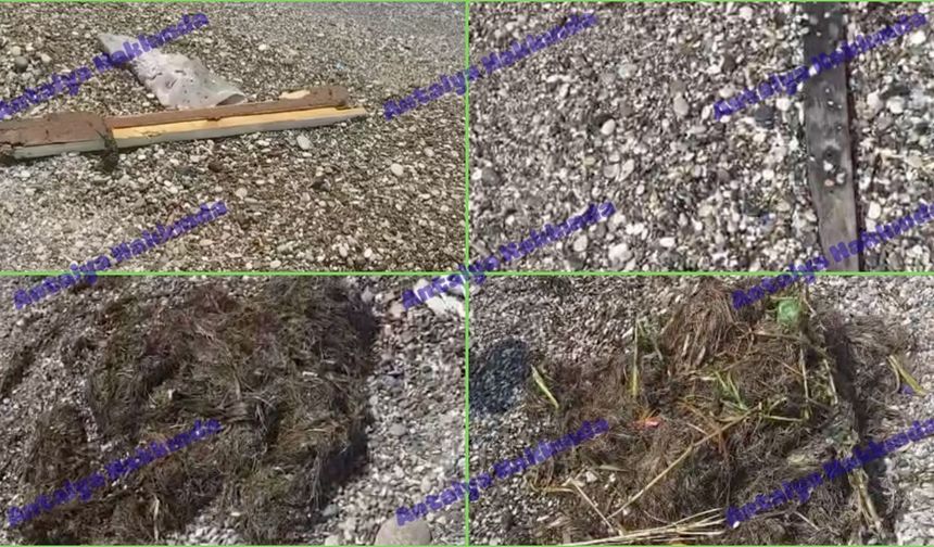 Konyaaltı Sahili'nde çöp isyanı! "Denize mi geldik, çöplüğe mi geldik belli değil"