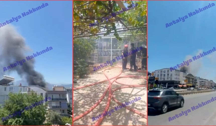 Antalya'da müstakil ev alevlere teslim oldu! İşte o anlar
