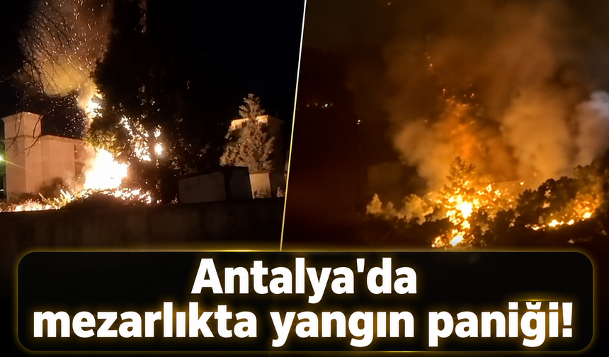 Antalya'da mezarlıkta yangın paniği!