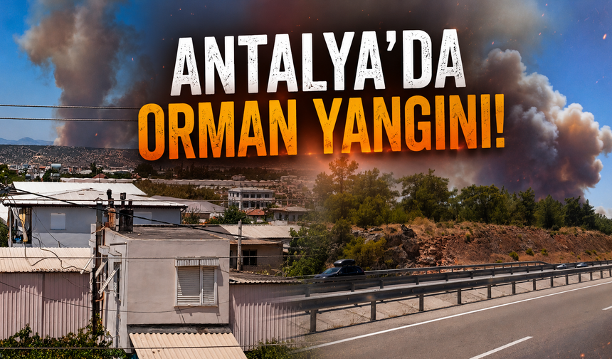 Antalya'da korkutan orman yangını! O anlar kamerada