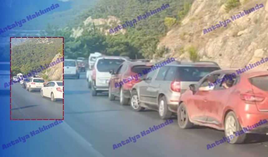 Antalya Topçam'da pazar mesaisi!