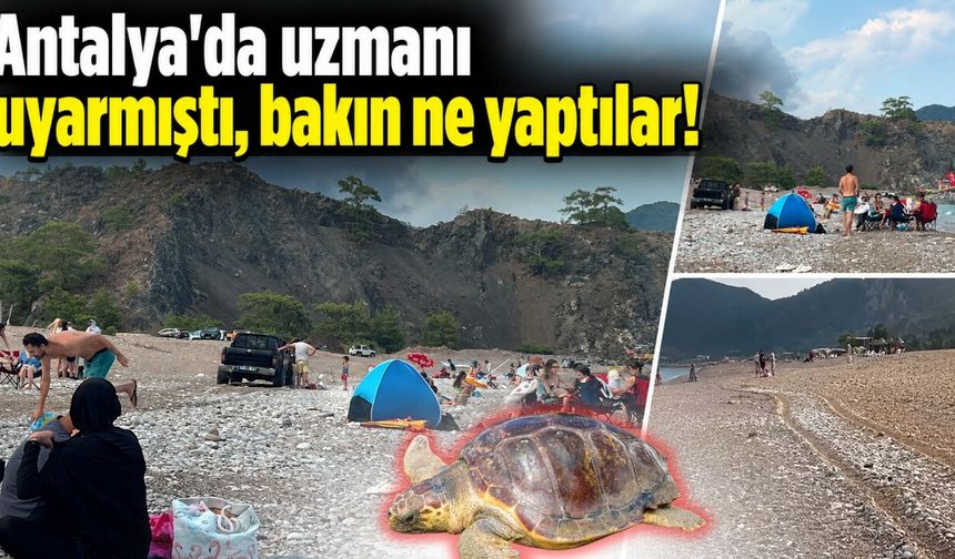 Antalya'da uzmanı uyarmıştı, bakın ne yaptılar!