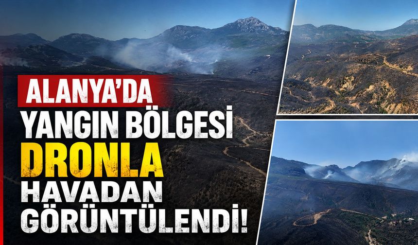 Alanya'da yangın bölgesi havadan görüntülendi!