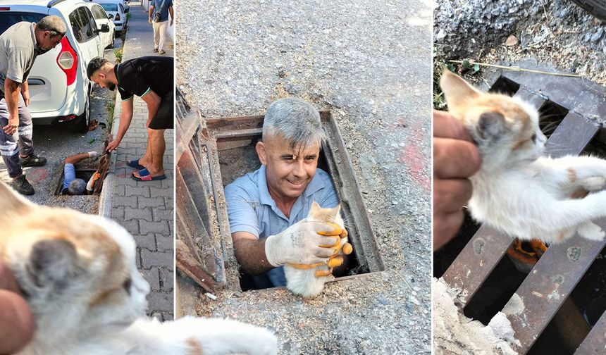 Antalya'da kanalizasyona düşen kedi kurtarıldı!