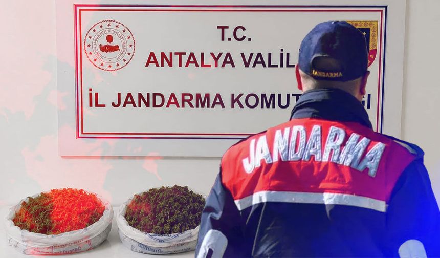 Antalya'da şok uyuşturucu operasyonu: Kubar esrar ele geçirildi!