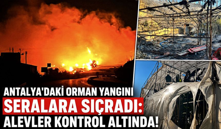 Antalya'daki orman yangını seralara sıçradı: 17 hektarlık alan zarar gördü