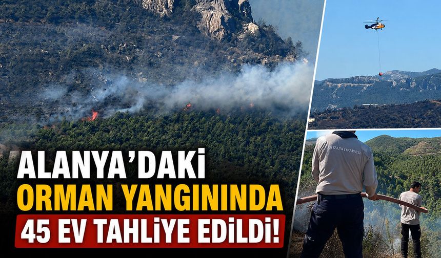 Alanya'da yerleşim alanlarını tehdit eden yangında 45 ev tahliye edildi!