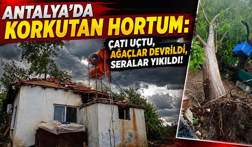 Antalya'da korkutan hortum: Çatı uçtu, ağaçlar devrildi, seralar yıkıldı!