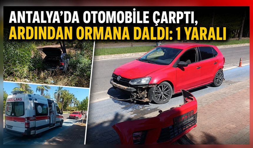 Antalya'da kontrolden çıkan otomobil ormana daldı: 1 yaralı