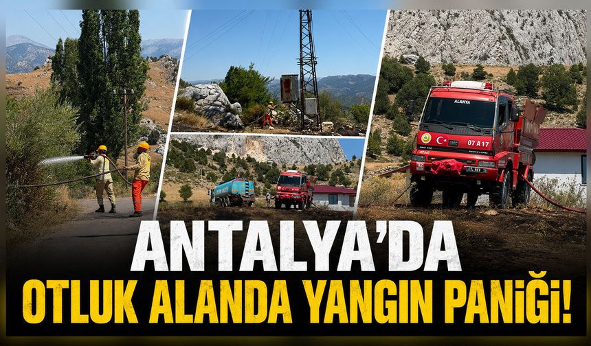 Antalya'da otluk alanda yangın paniği: Alevler büyümeden söndürüldü
