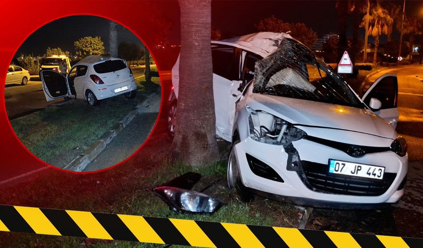 Antalya'da kontrolden çıkan otomobil palmiyeye çarptı: Sürücü yaralandı