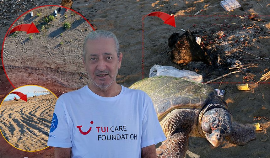 Antalya'da caretta caretta yuvalarına araç ve mangal tehdidi: İhlalin cezası 699 bin TL