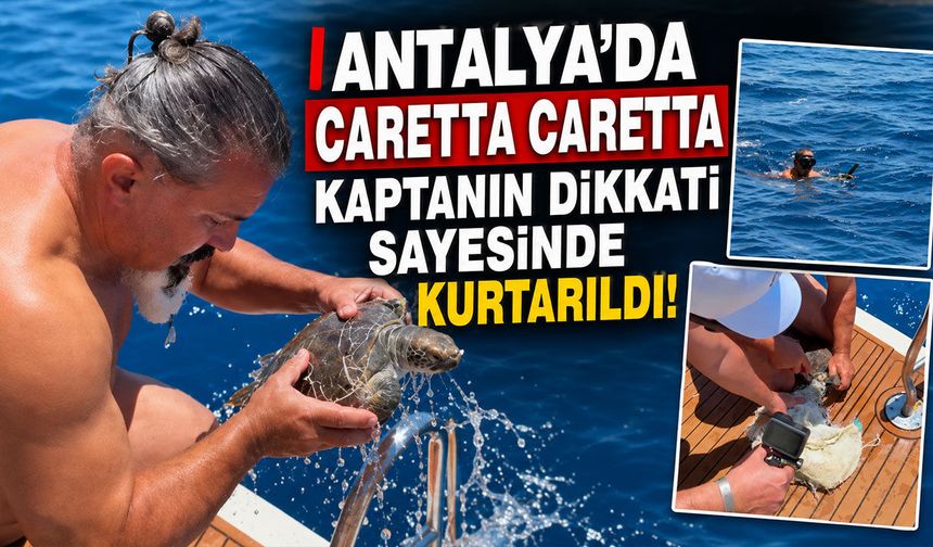 Antalya'da nefes kesen kurtarma: Çuvala dolanan caretta caretta böyle kurtarıldı