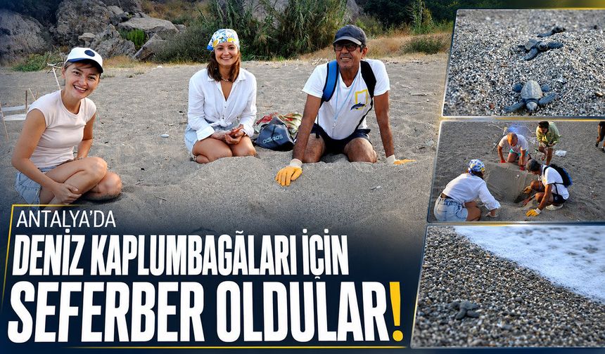 Antalya'da deniz kaplumbağalarının gönüllü koruyucusu oldular!