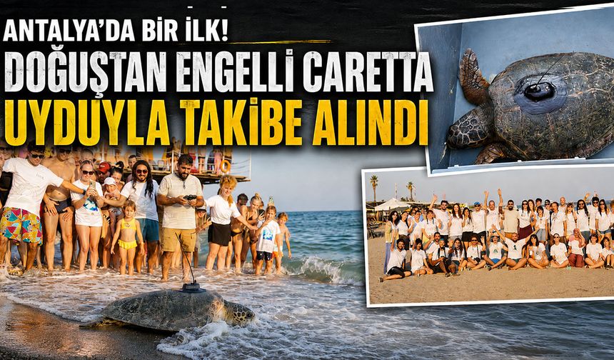 Antalya'da bir ilk! Doğuştan engelli carettaya uydu izleme cihazı takıldı