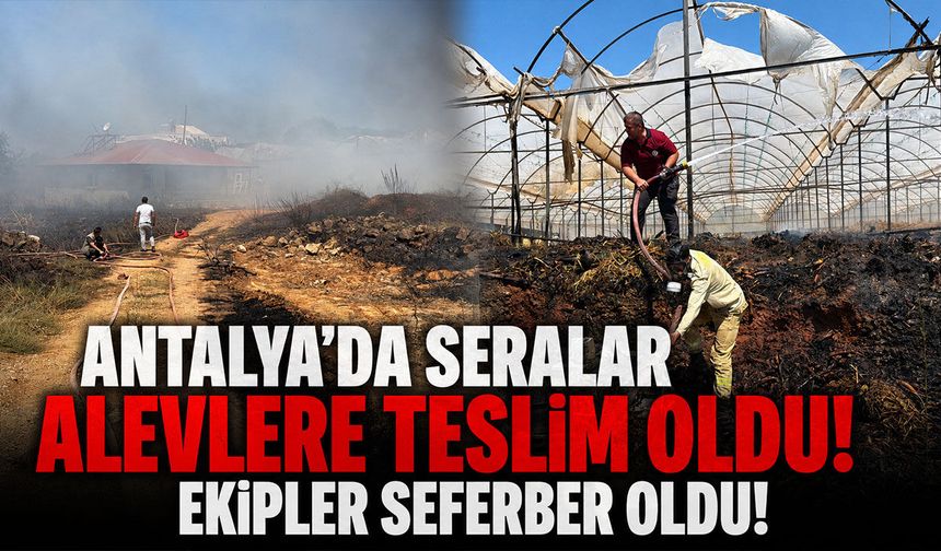 Antalya'da sera yangını: 7,5 dekar alan zarar gördü!