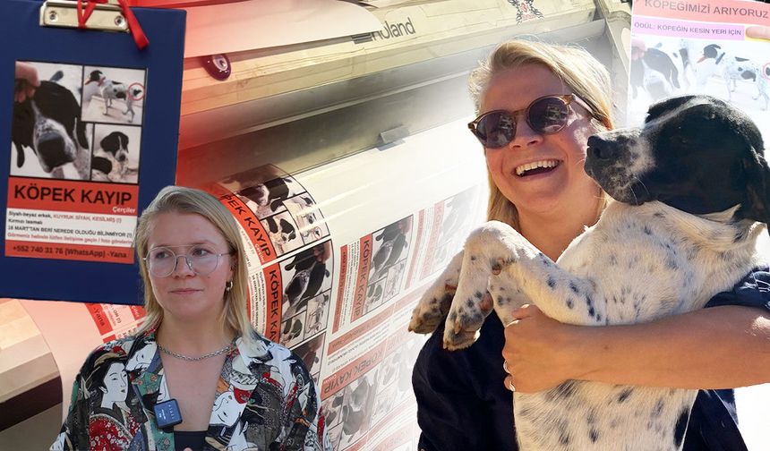 Antalya'da kayıp köpek 'Biba' için 1.000 dolar ödül!