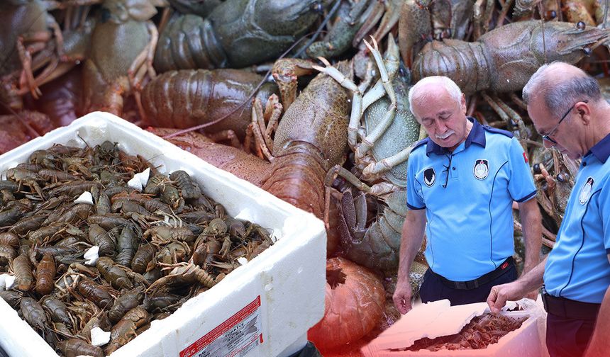 Antalya Otobüs Terminali'nde şüpheli koli: 90 kilogram ele geçirildi!