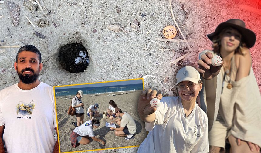 Antalya'da caretta caretta nöbeti: Gece yasağı olumlu sonuç verdi!