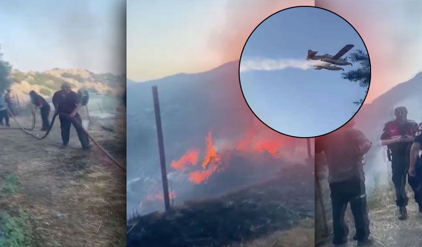 Antalya'da korkutan orman yangını: Alevler kontrol altına alındı!