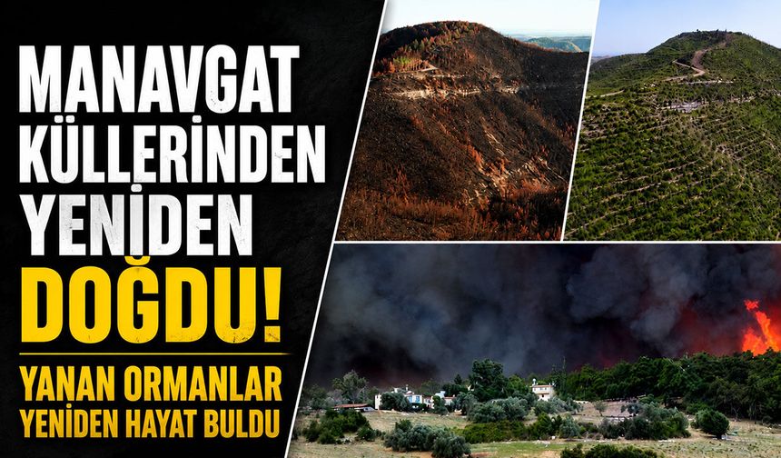 Manavgat küllerinden yeniden doğdu!