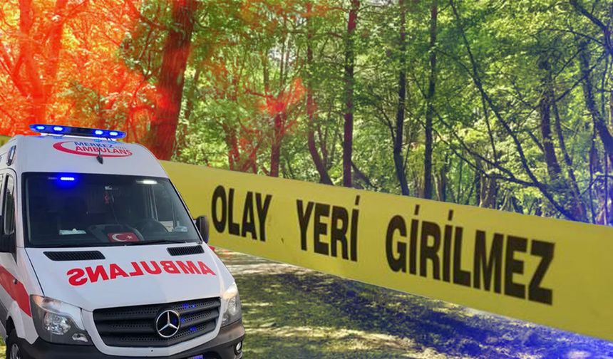 Antalya'da ormanlık alanda intihar girişimi: Son anda kurtarıldı!