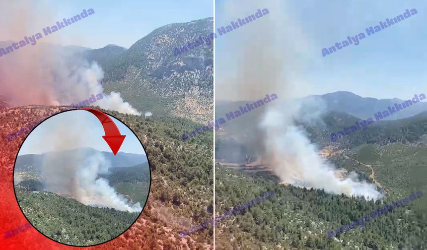 Antalya'da orman yangını! Havadan ve karadan müdahale ediliyor!