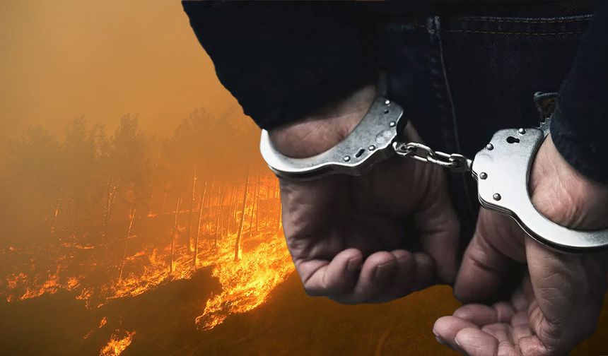 Alanya'daki orman yangınında sabotaj şüphesi: 1 kişi tutuklandı