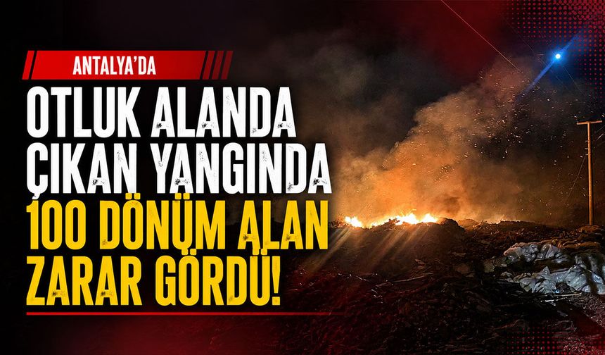 Antalya'da otluk alanda yangın: 100 dönüm alan zarar gördü