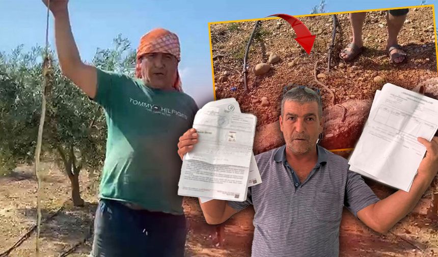 Antalya'da "Yılanı öldürdüm" dedi: 22 bin TL ceza aldı