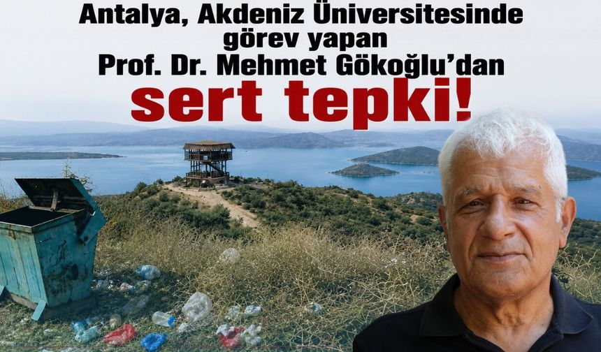 AÜ profesöründen sert tepki! "Hayvanlar gibi davranın"