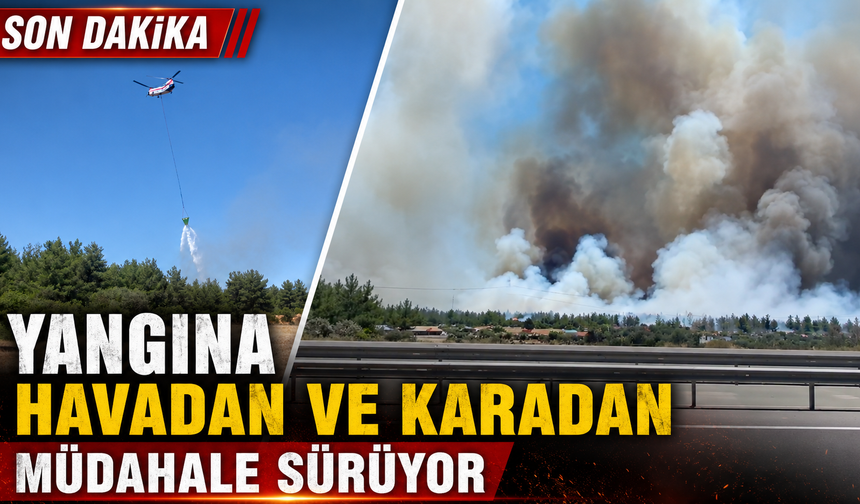 Antalya'daki orman yangınına havadan ve karadan müdahale sürüyor!