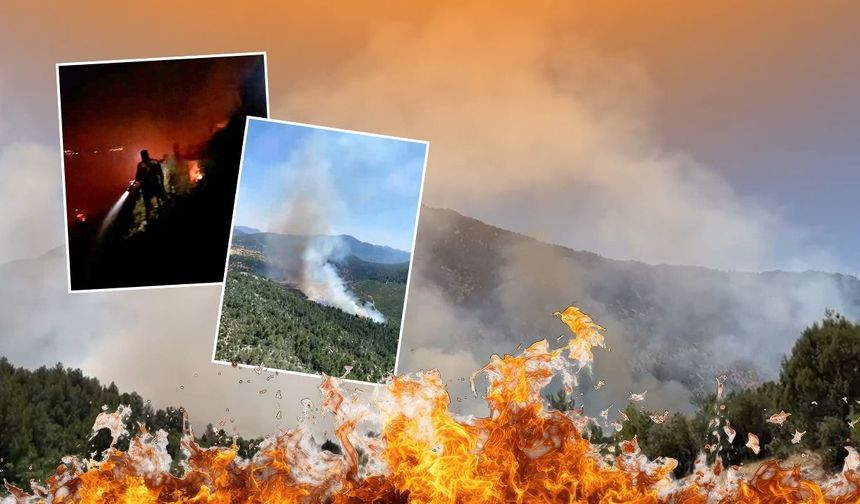 Antalya'nın  ciğerleri yandı! Akseki'de 100 hektar alan zarar gördü