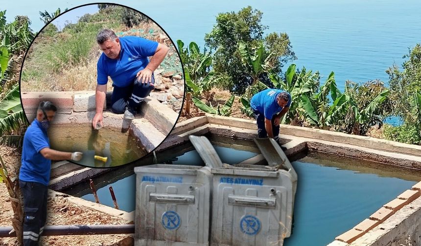 Antalya'da haşerelerle mücadeleye biyolojik kalkan