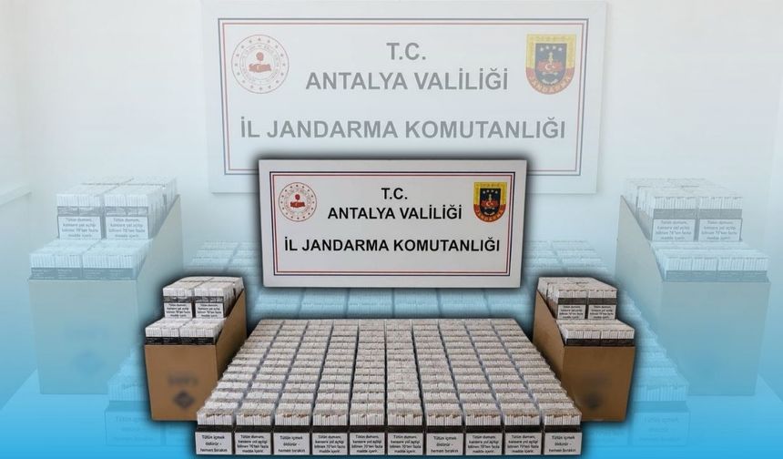 Alanya'da iş yerine jandarma baskını: Binlerce makaron ele geçirildi
