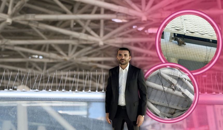 Antalya'da Nekropol Müzesi'nde kuş ölümleri sonrası yeni önlemler alındı!