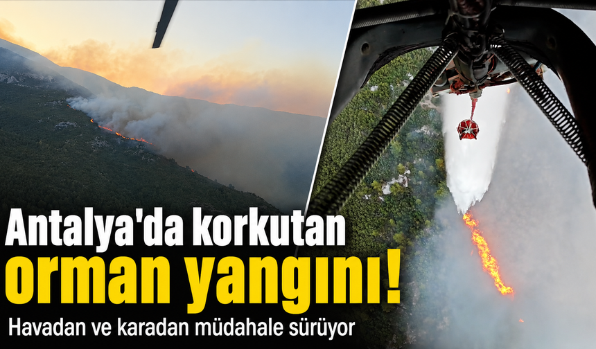 Antalya'da korkutan orman yangını! Havadan müdahale anı kamerada