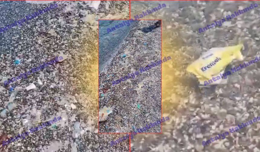Antalya sahillerini çöp götürüyor!